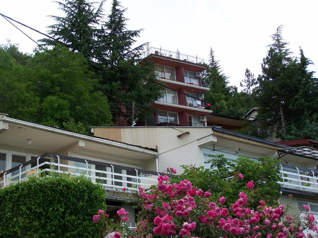 סטרוגה Villa Eros Apartments 2 מראה חיצוני תמונה